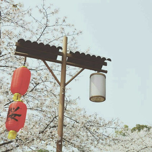 网曝门事件xX视频xX丅Ⅴ一区
