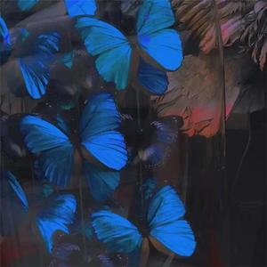 网曝门事件xX视频xX丅Ⅴ一区
