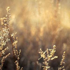 网曝门事件xX视频xX丅Ⅴ一区
